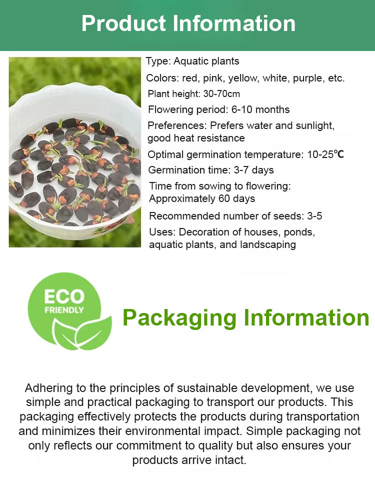【Blooms Normally Even at -20℃】🪷 Winter Ornamental Hydroponic Lotus Seeds, Survival Rate Up to 99%!