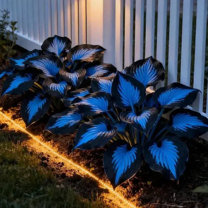 🌟Spring & Winter Growing🍃Premium Rare Hosta Seeds🌿Perfect For Cut Flowers【98% Germination Rate】