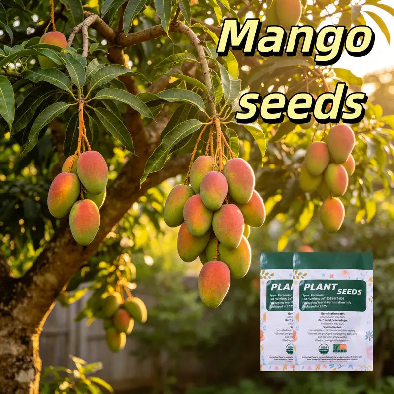 🔥 65K+ SOLD! 🥭 Sweet "Golden Honey" Dwarf Mango Tree Seeds (Grow at Home)