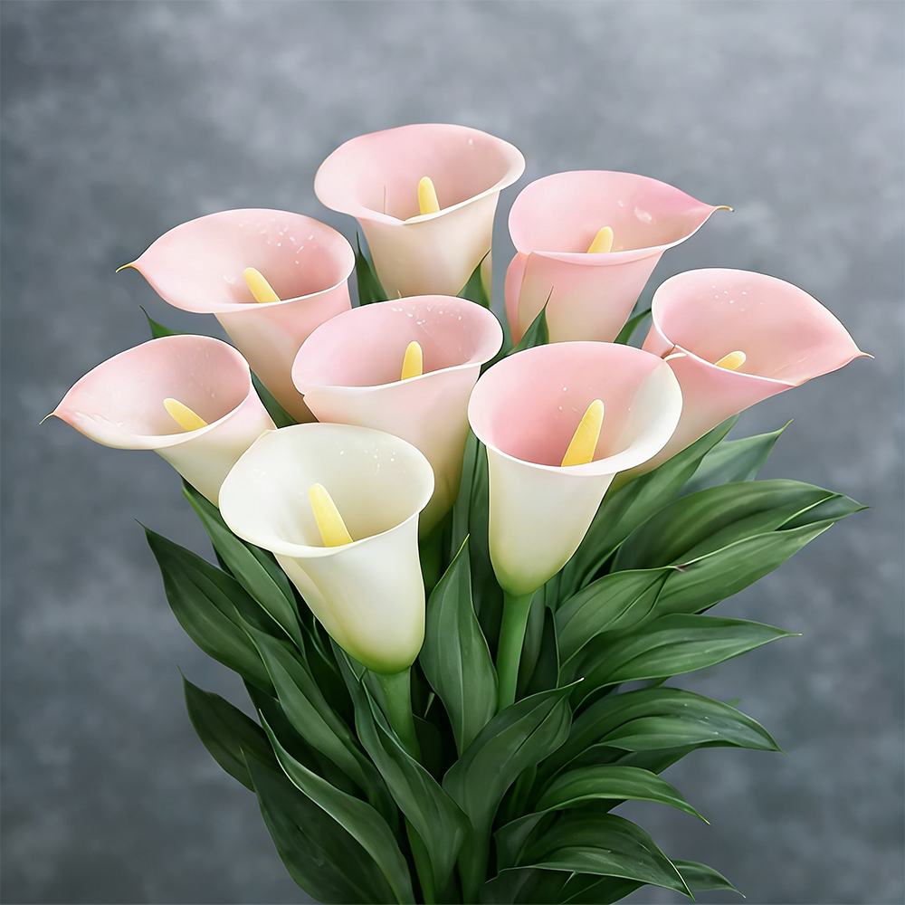 Mysterious Aurora Calla Lily