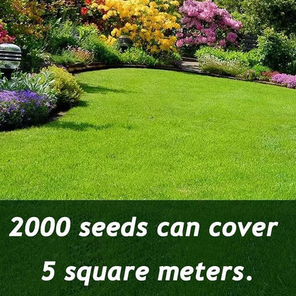 🌱 2026 Four Seasons Evergreen Grass Seed | Durable, Vibrant Green All Year
