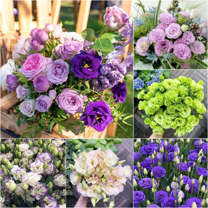 💐Lisianthus – Timeless Beauty, Everlasting Love💫