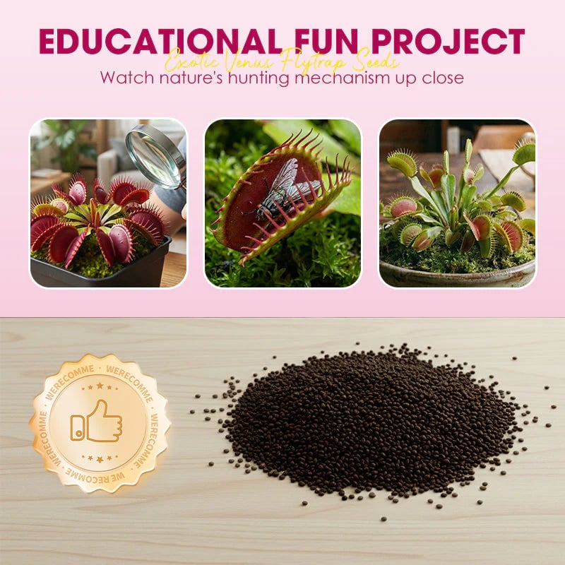 🌱[Amazing Venus Flytrap Seeds]—Grow Your Own Mini Carnivorous Monster!😱🌿