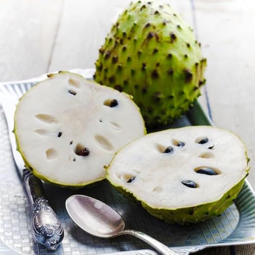 🏆Flash Sale⚡Almost Gone-💥🌸 Organic Soursop (Graviola) – Non-GMO Heirloom Tropical Fruit