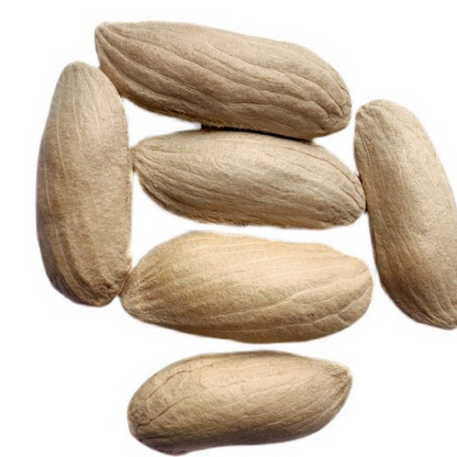 🔥 65K+ SOLD! 🥭 Sweet "Golden Honey" Dwarf Mango Tree Seeds (Grow at Home)
