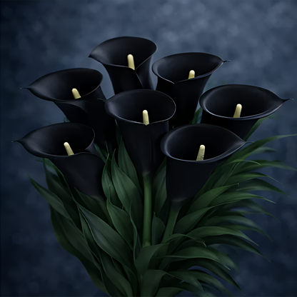Mysterious Aurora Calla Lily