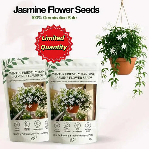 🌸LAST DAY Promotion 49% OFF🌸Double Jasmine