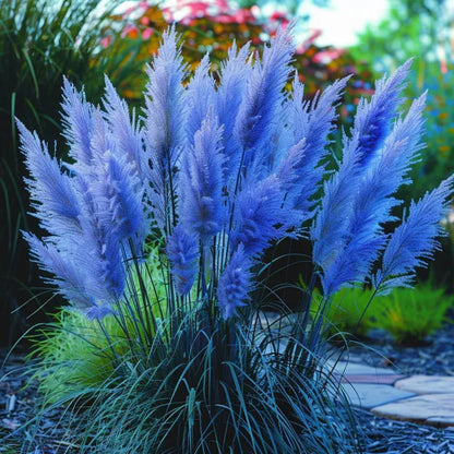 🔥Garden Essentials🌾Ornamental Perennial Pampas Grass Seeds🌱