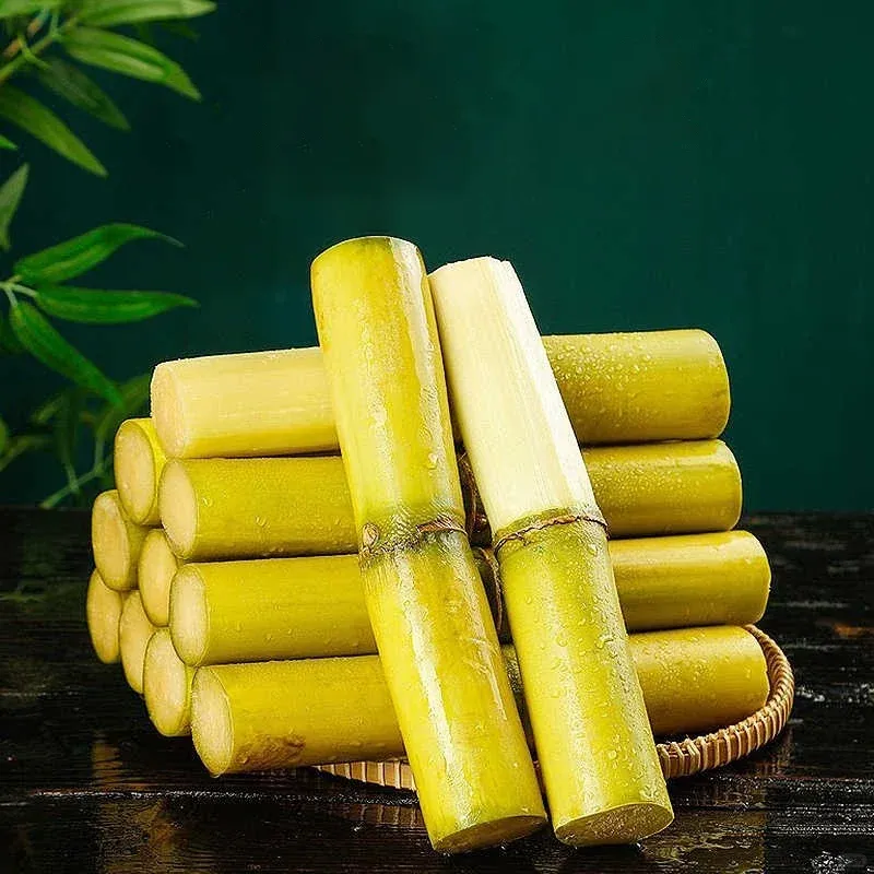 🌱 High-Yield Sugarcane Seeds - Easy to Survive & Grow, Perfect for Home Fruit Planting