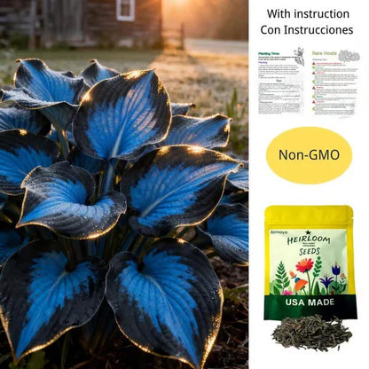 🌟Spring & Winter Growing🍃Premium Rare Hosta Seeds🌿Perfect For Cut Flowers【98% Germination Rate】