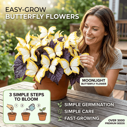 🌸 Moonlight Butterfly Flower Seeds