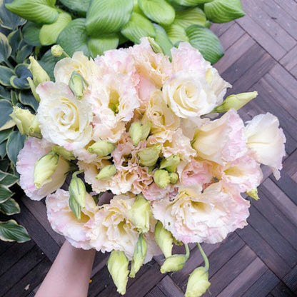 Perennial, long-flowering: Lisianthus seeds🌼