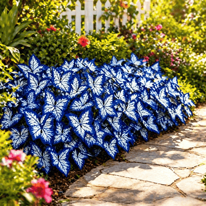 🌸 Moonlight Butterfly Flower Seeds