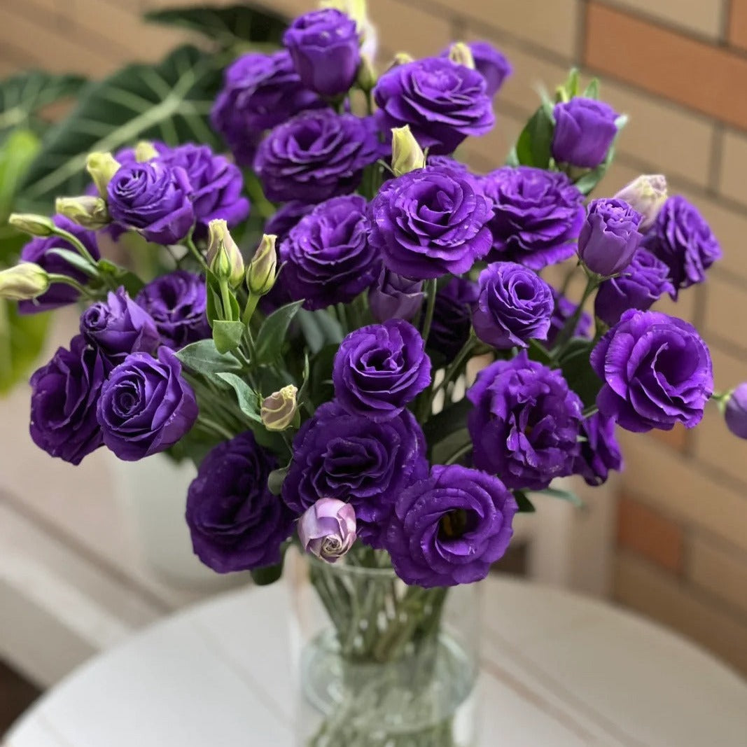 Perennial, long-flowering: Lisianthus seeds🌼