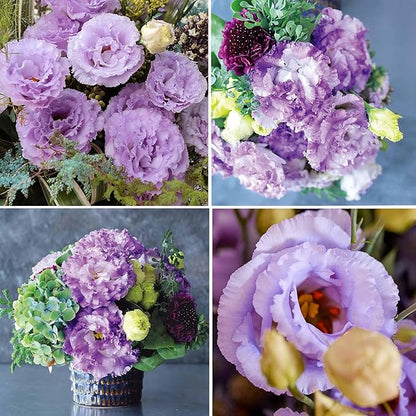 Perennial, long-flowering: Lisianthus seeds🌼