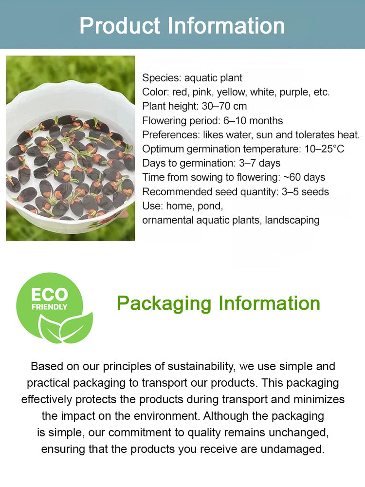 USDA Organic Certified Hydroponic Lotus Seeds