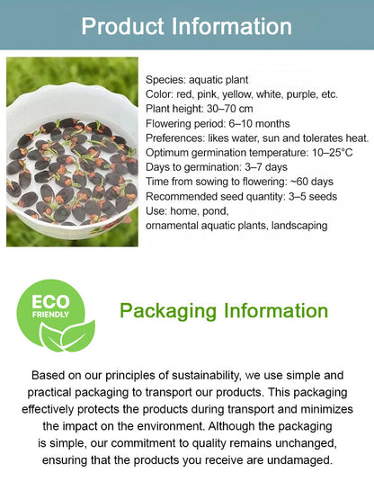 USDA Organic Certified Hydroponic Lotus Seeds