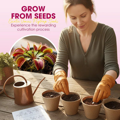 🌱[Amazing Venus Flytrap Seeds]—Grow Your Own Mini Carnivorous Monster!😱🌿