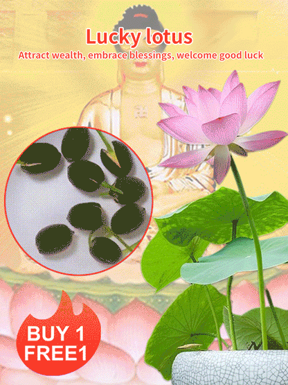 【Blooms Normally Even at -20℃】🪷 Winter Ornamental Hydroponic Lotus Seeds, Survival Rate Up to 99%!