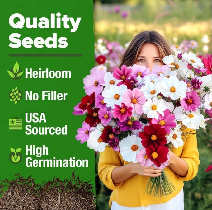 🔥Last Day 70% OFF🔥Zinnia Seeds - Pure Seeds - No Filler -Heirloom Flower Seeds