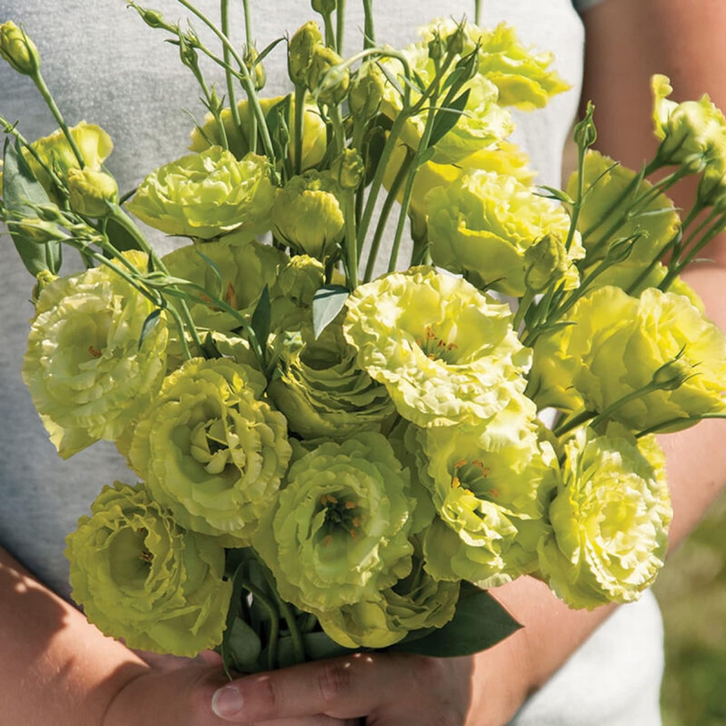 Perennial, long-flowering: Lisianthus seeds🌼