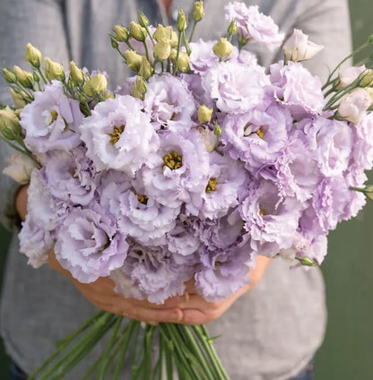 Perennial, long-flowering: Lisianthus seeds🌼
