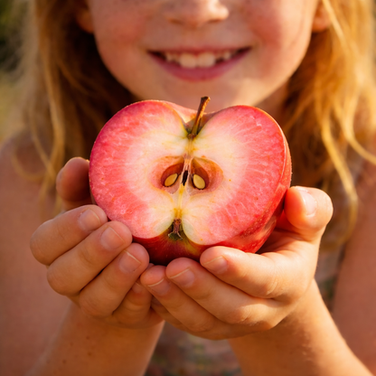 🔥 65K+ SOLD! 🍎Heirloom “Honey Red” Dwarf Apple