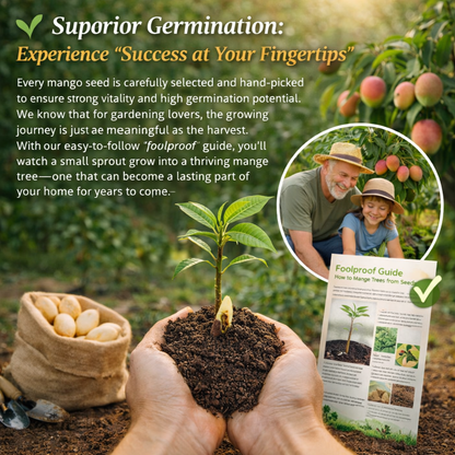 🔥 65K+ SOLD! 🥭 Sweet "Golden Honey" Dwarf Mango Tree Seeds (Grow at Home)