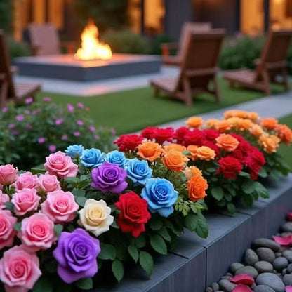 🔥Mixed Rose Seeds (200 seeds)-Heirloom and rare varieties for the home garden, non-GMO, easy-to-grow beautiful perennial flowers