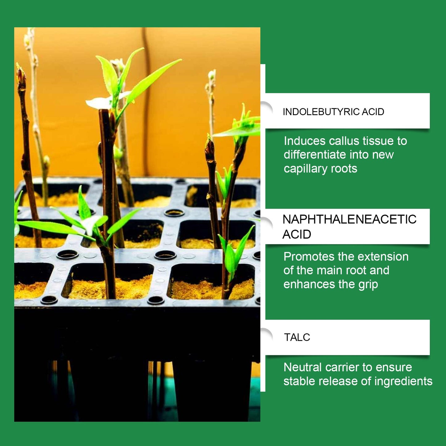 🎁Last Day Promotion 49% OFF🔥Nuticos Rooting Powder , Rooting Hormone for Plant Cuttings and Strong Roots, Ultra Concentrated