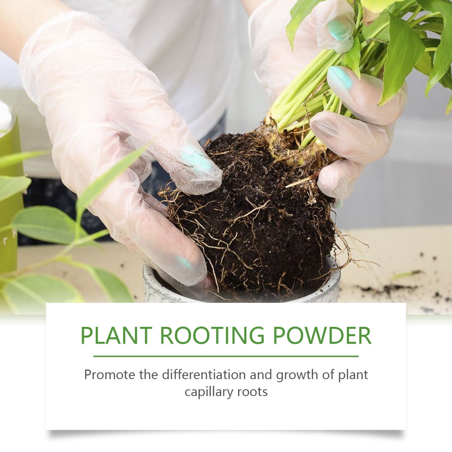 🎁Last Day Promotion 49% OFF🔥Nuticos Rooting Powder , Rooting Hormone for Plant Cuttings and Strong Roots, Ultra Concentrated