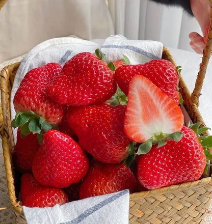 All-year-round strawberry seeds🍓