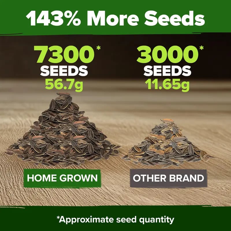🔥Last Day 70% OFF🔥Zinnia Seeds - Pure Seeds - No Filler -Heirloom Flower Seeds