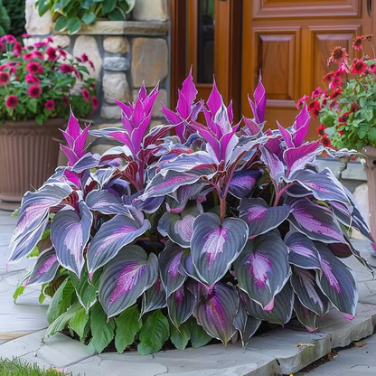 🌟Spring & Winter Growing🍃Premium Rare Hosta Seeds🌿Perfect For Cut Flowers【98% Germination Rate】