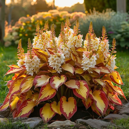 🌟Spring & Winter Growing🍃Premium Rare Hosta Seeds🌿Perfect For Cut Flowers【98% Germination Rate】
