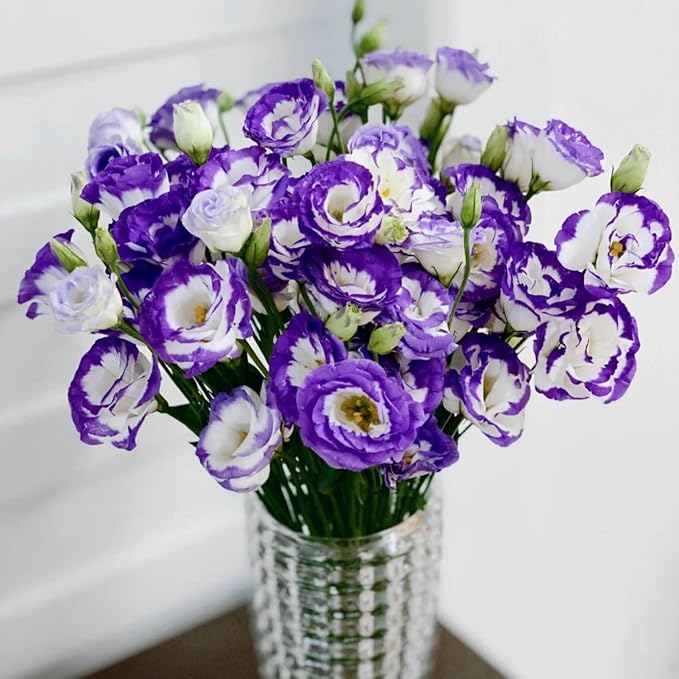 Perennial, long-flowering: Lisianthus seeds🌼