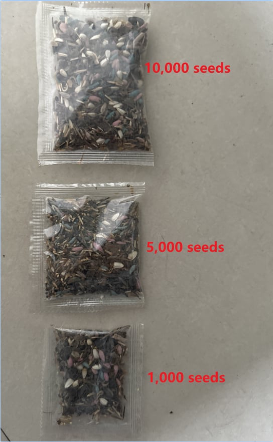 💝Mixed Perennial Flowers Seeds30- 60kinds mixed