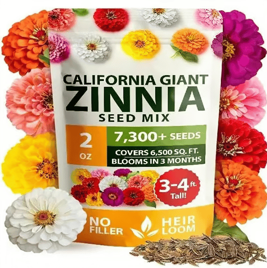 🔥Last Day 70% OFF🔥Zinnia Seeds - Pure Seeds - No Filler -Heirloom Flower Seeds