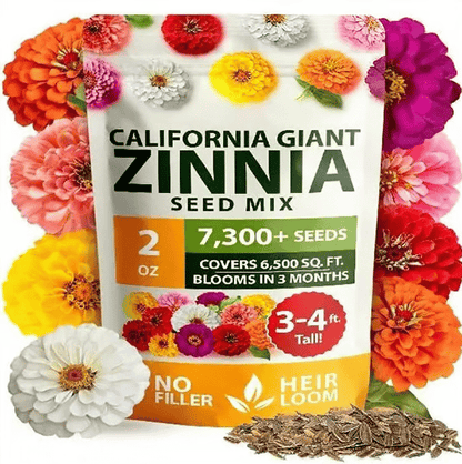 🔥Last Day 70% OFF🔥Zinnia Seeds - Pure Seeds - No Filler -Heirloom Flower Seeds