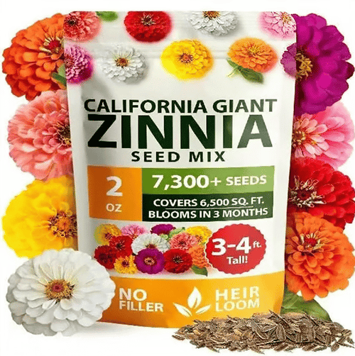 🔥Last Day 70% OFF🔥Zinnia Seeds - Pure Seeds - No Filler -Heirloom Flower Seeds