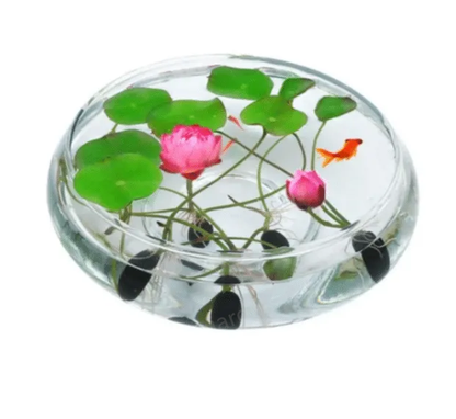 🎁50% Discount🌺The sacred lotus flower in bonsai