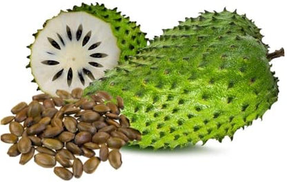 🏆Flash Sale⚡Almost Gone-💥🌸 Organic Soursop (Graviola) – Non-GMO Heirloom Tropical Fruit