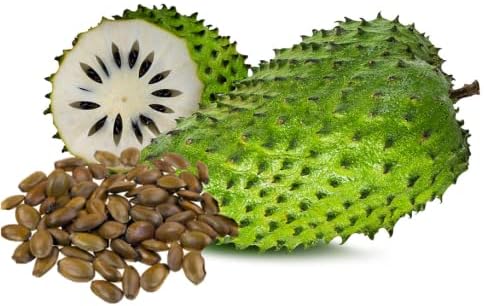 🏆Flash Sale⚡Almost Gone-💥🌸 Organic Soursop (Graviola) – Non-GMO Heirloom Tropical Fruit