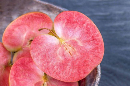 🔥 65K+ SOLD! 🍎Heirloom “Honey Red” Dwarf Apple