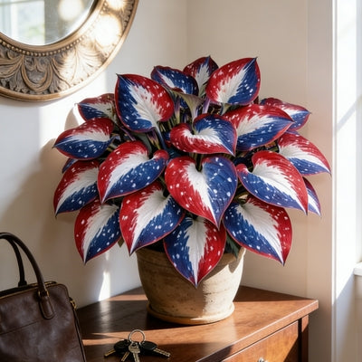 🎉America 250th Anniversary🌱Premium Rare Hosta Seeds🌿Shade-Tolerant Plant -